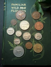 Old Irish Pre-Euro Animal